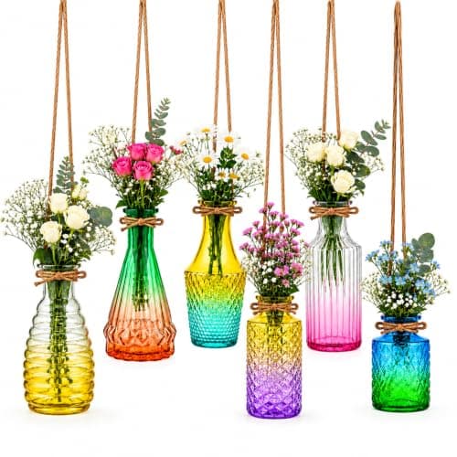 6 Pcs Glass Hanging Propagation Vases with Jute Rope | Colored Gradient Plant Propagation Stations, Lover Wedding Party Gift, Hydroponic Garden Home Decoration