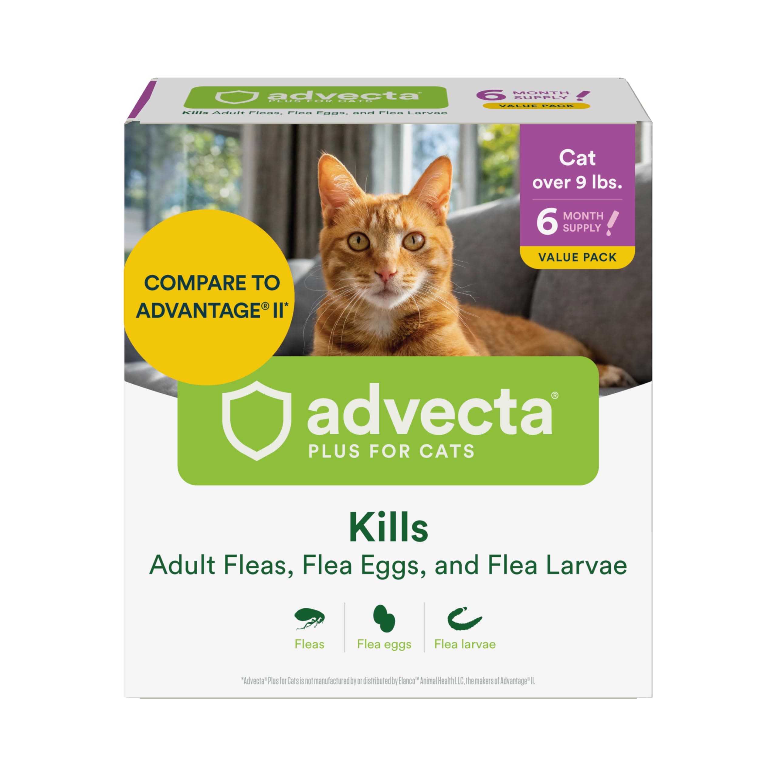Advecta Plus Cat Flea Treatment 9+ lbs, Imidacloprid, 6-Month | Ideal for Large Cats 9+ lbs; Kills Adult Fleas in 12 hrs; 6-month supply; Breaks Flea Life Cycle